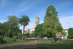 View looking toward the University Clock Tower