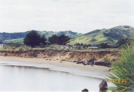 Owhata_Shoreline